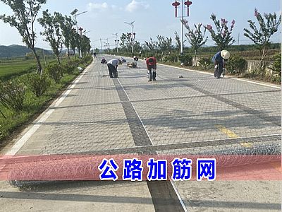 公路加筋網(wǎng)